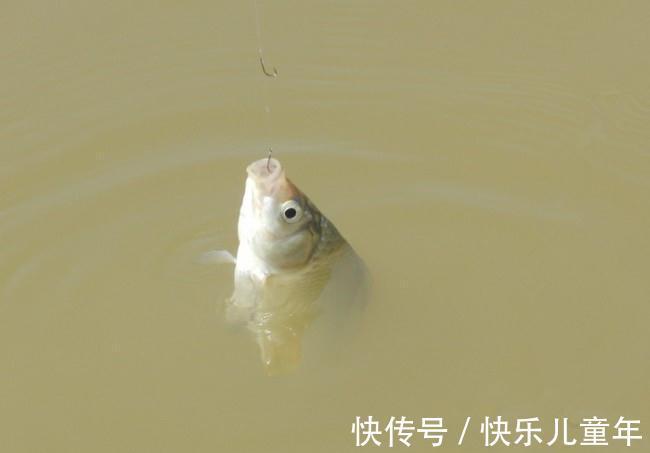 用数据说话,袖钩的4号和5号相比,哪一个更实用