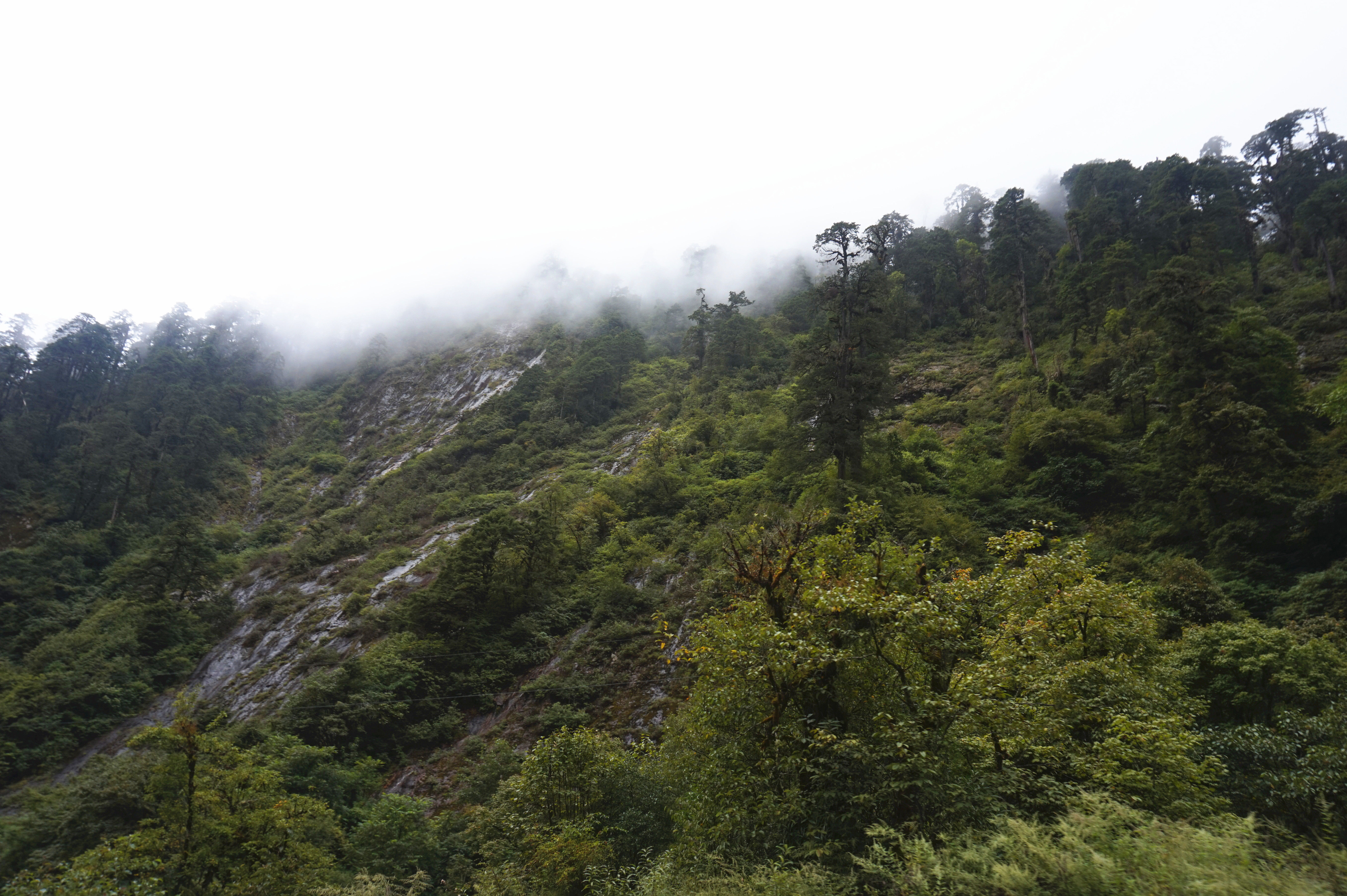 难忘的历程川滇藏青甘蒙游记32，目标莲花圣地墨脱