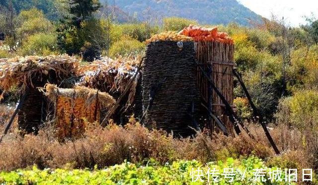 狐狸@聊斋故事:荞中怪、捉狐