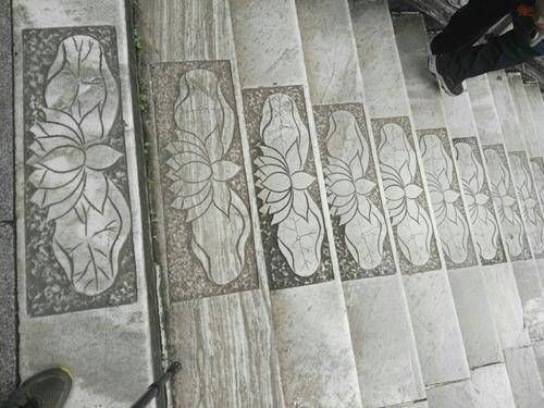 牡丹花|薛宝钗是牡丹花,为什么贾府无牡丹,多芙蓉花曹公寓意太晦涩