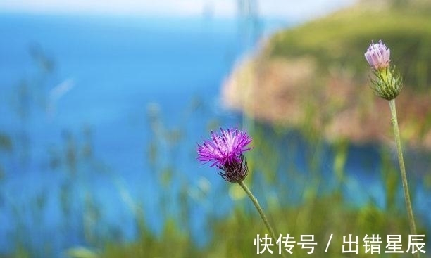 贵人|7天后，运势逆袭，旧梦重温，主动道歉，摆脱过去，余生不分离