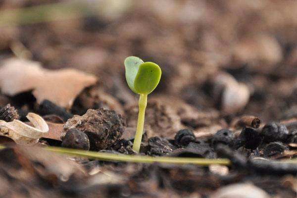 一个人的成长是需要经历岁月的打磨才能够磨出该有的品味