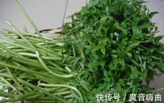 开胃|泥蒿虽不起眼，全身是宝，开胃健脾，降压补脑，增强免疫力，防癌