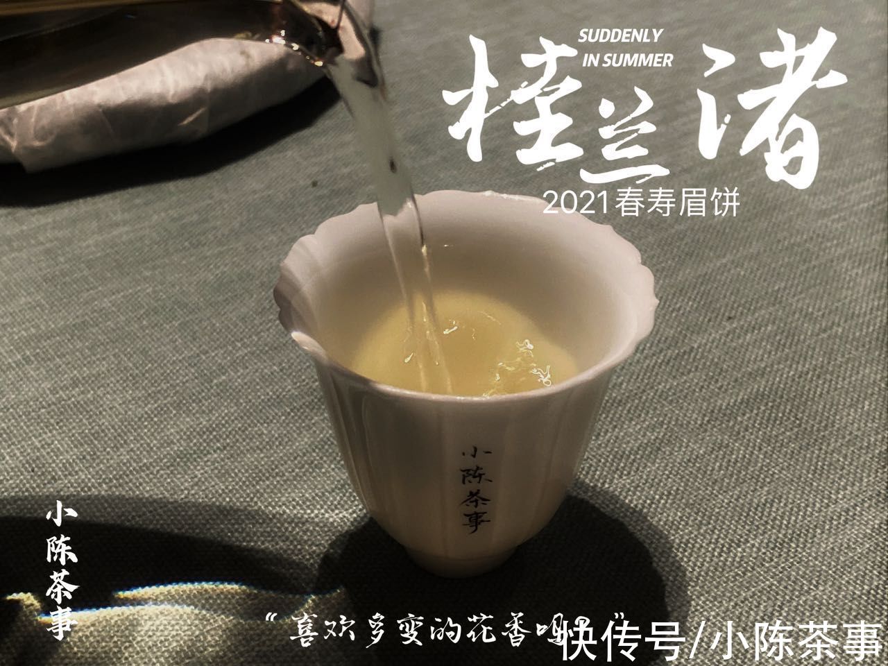 寿眉散茶#购买白茶选散茶，还是饼茶？从3个角度出发，看完再做决定也不迟