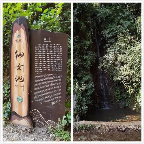 冬日樱花浪漫的无量山，竟然就是天龙八部中的神秘之境