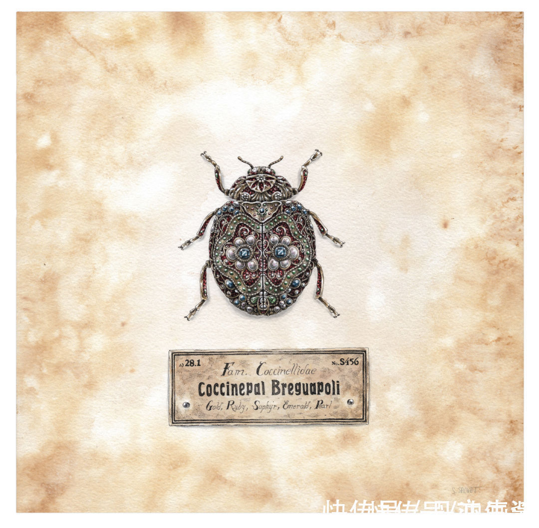 艺术家@90后画家用针管笔绘画,一幅画耗时数百小时,精致极了