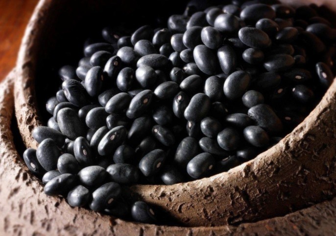黑豆粉|黑豆此种吃法，养血平肝，补虚益肾，软化血管，好处数不胜数！
