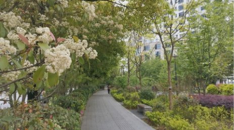 天呐！十堰街头飘出“不可描述”的气味，竟然是......