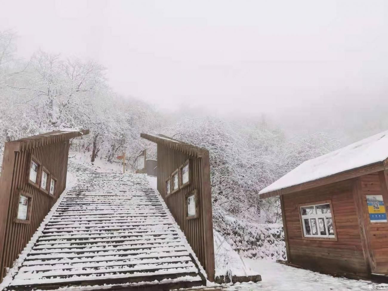 中薪|看雪---西岭雪山两日游