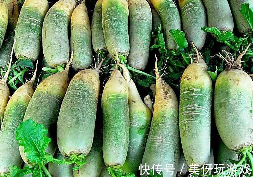 霜降后,包饺子就用此菜,鲜嫩营养多汁,我家一周吃4次,太香了