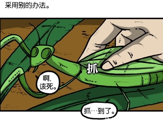 石头|搞笑漫画：螳螂抓鸡，用人做诱饵