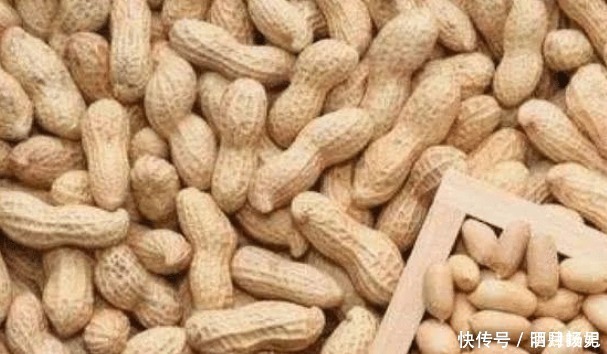 花生“碰上”它,強過鹿茸,男人堅持常吃,或能讓腎臟恢復正常