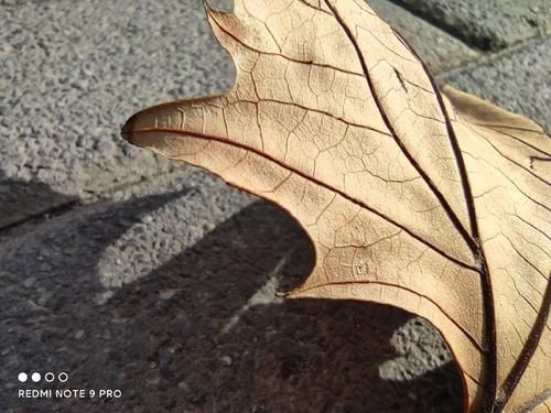 中端|Redmi Note 9 Pro 评测:首发骁龙 750G+全新 1 亿像素,中端旗舰新标杆?