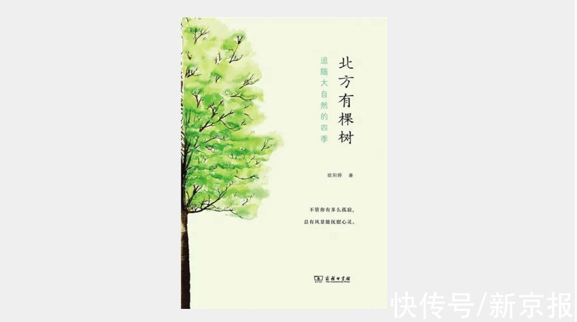 北方有棵树！《北方有棵树》：理解人类以外的世界｜新京报年度阅读推荐