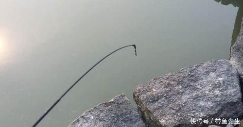 小编|河里钓了几条鱼,老大爷叫它“蟹虎鱼”,这些鱼能吃吗,求鉴定