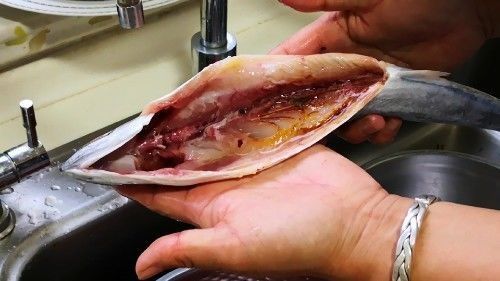 炖鱼去腥,只加酒和醋是大错特错!教你特色农家做法,上桌就光