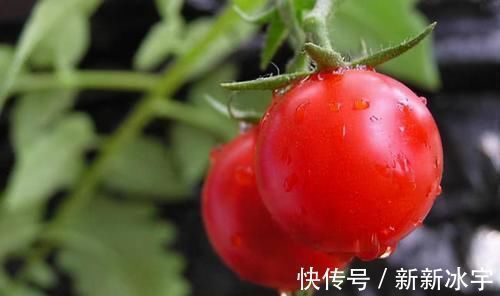 养颜|女性不想长皱纹,推荐3种食物,排毒养颜,滋养肌肤,早吃早受益