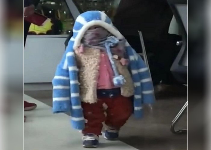 烤肉|爷爷将娃“全副武装”带上街,胖似企鹅,网友:是爷爷觉得你冷