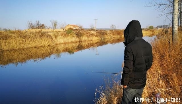 冬钓水草和亮水