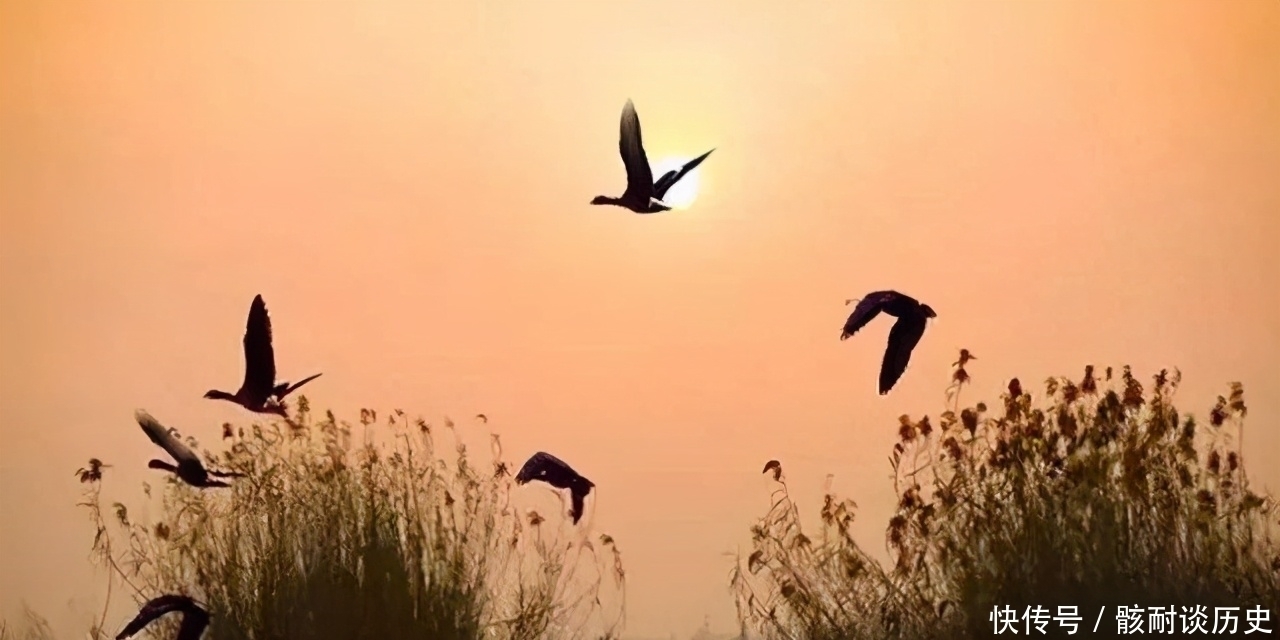 五律&北宋传奇诗人回乡途中写下一首五律,无一高级字,却美得令人心醉