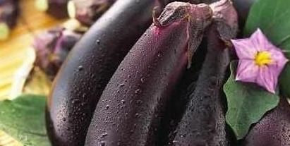 柚子|立秋之后老人养生记住“三不做”、“三多吃”,帮你健康一整年