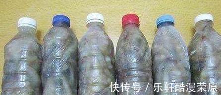 正确做法|保存大虾不要直接冻冰箱，学会正确做法，放到过年吃依旧新鲜