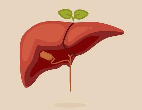 五味子|肝不好不可以吃南瓜？医生提醒：肝脏损伤，“2种”食物需要少吃