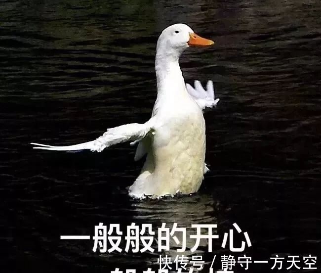 大卷|矮个子剪什么发型才显高?