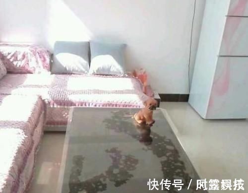 家庭和睦|晒晒我的农村婚房,院子种菜,卧室没床,但比住大别墅还舒服!