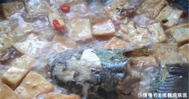全身|它是被人误会最多的鱼,全身都是宝,比甲鱼营养,4块一斤没人买