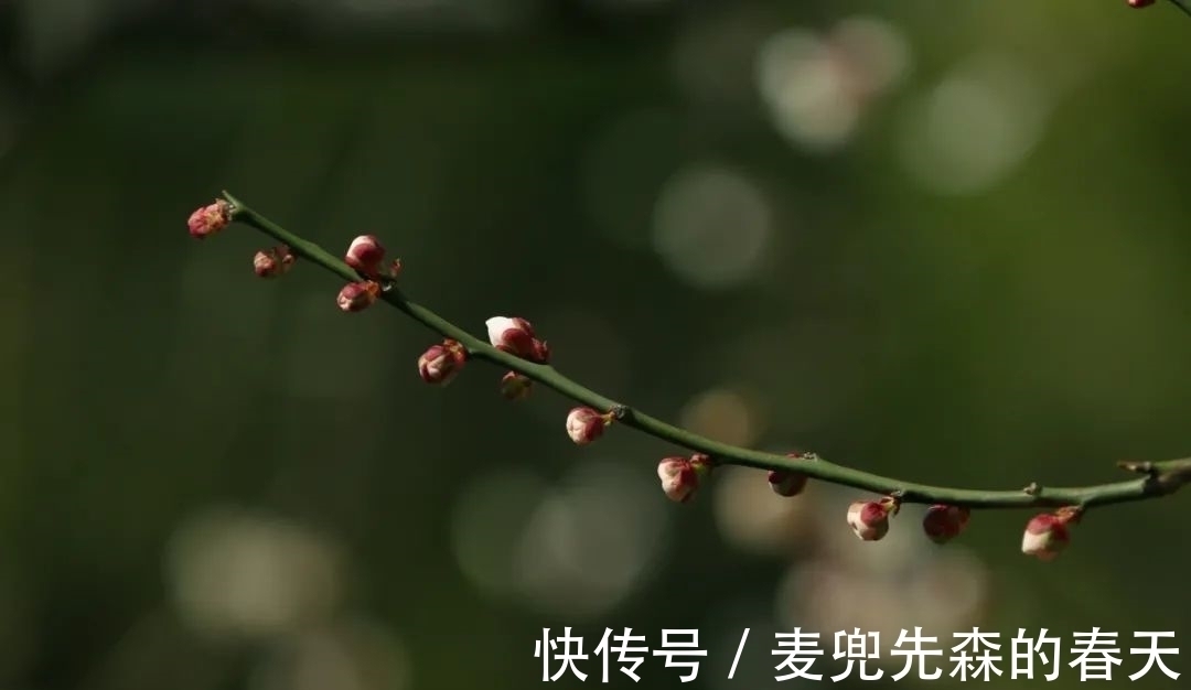 竹炉#今冬最闲适的一首诗,这种慢生活,太令人向往了!