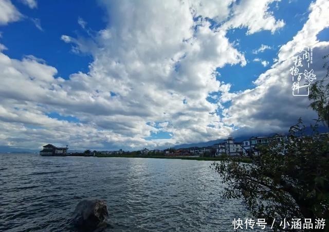 从一颗到500多盆，遇见多肉后，满眼全是你！