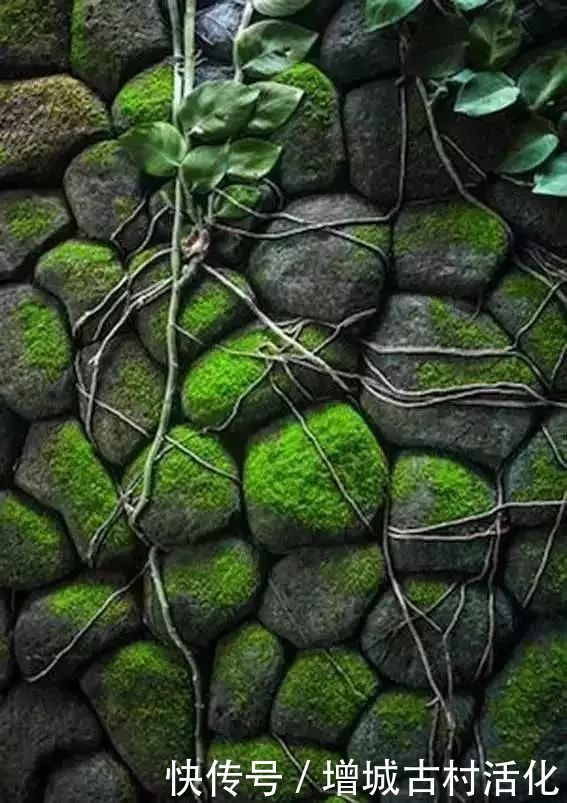 院落|一面石头墙,惊艳整个乡村院落