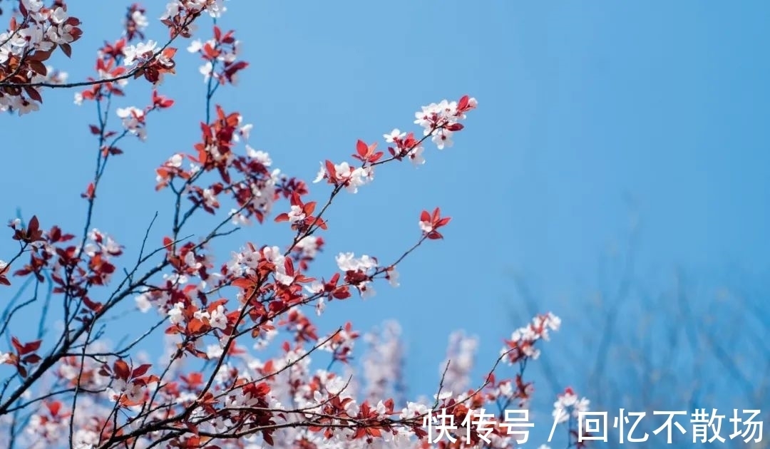 春夜!10首意境优美的小诗,美了眼,醉了心,惊艳了时光