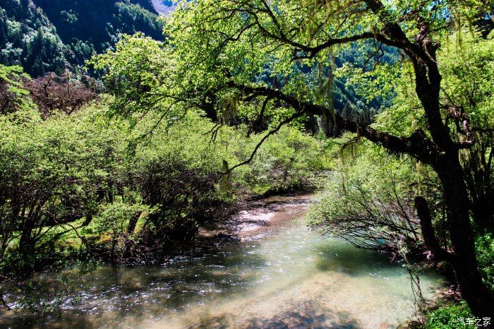 枯树滩|东方圣山，户外天堂——四姑娘山自驾徒步之旅