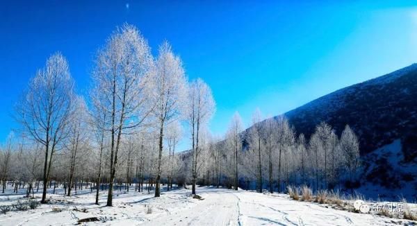 孟达天池|今日大雪！带您看青海冬日奇景！