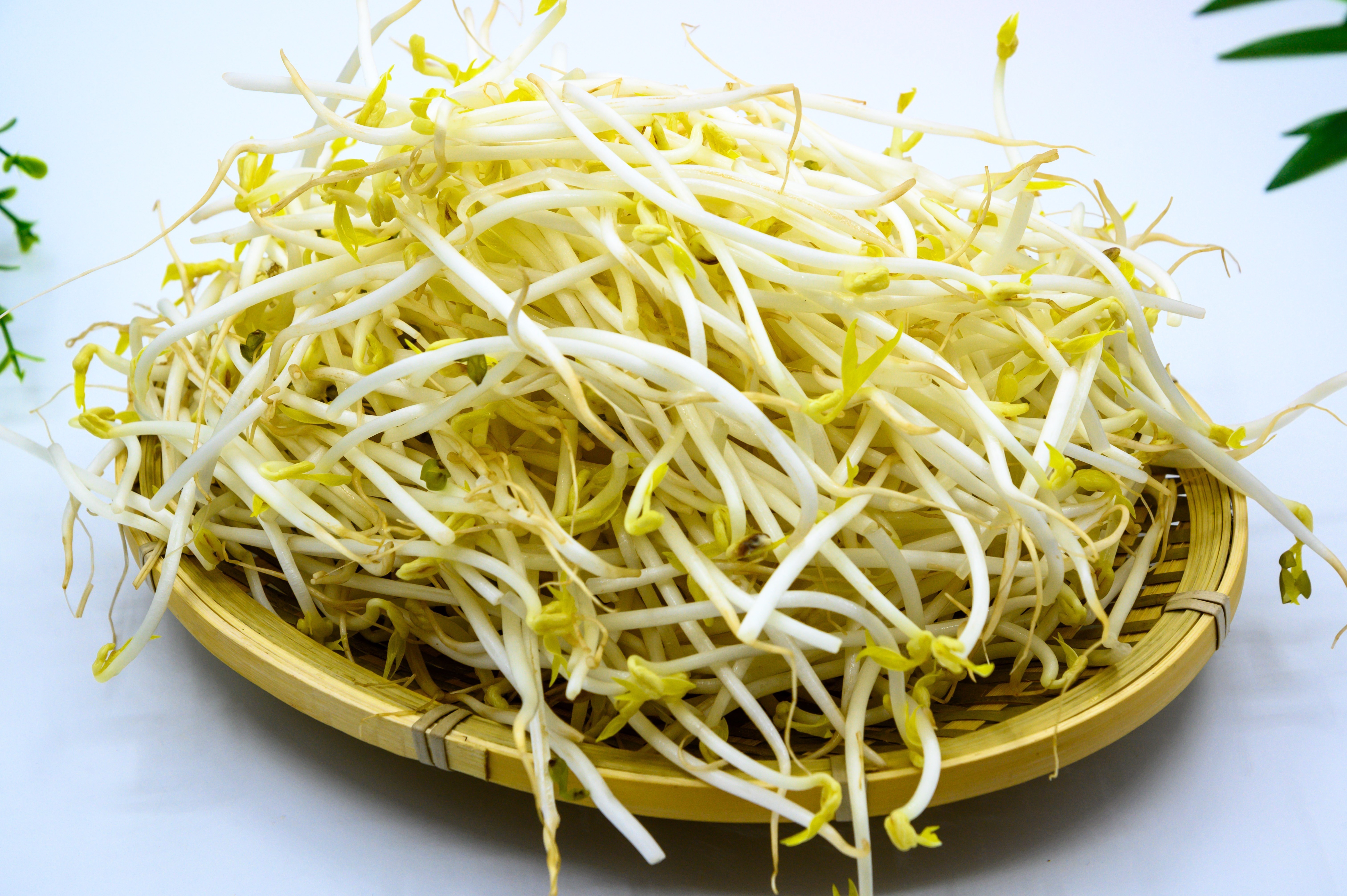 香菇香菇|高尿酸患者要注意饮食,生活中这3种食物,建议尽早撤下餐桌