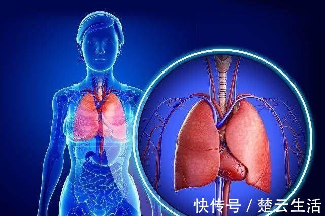 牛蒡茶|肝病的“天敌”终于找到了, 每天坚持吃一点, 排出肝毒好气色