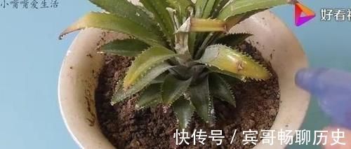 鸡蛋壳|扔鸡蛋壳就是在扔钱这个用途真厉害，花钱也难买到，还好早知道