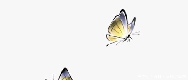 从贾浅浅到白话文诗歌,是诗歌的创新吗?