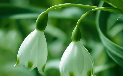 胃癌晚期不一定能手术,早期也不要做手术吗?