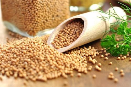 月经|45岁绝经和54岁绝经有什么区别？会影响衰老速度吗？早知道早获益