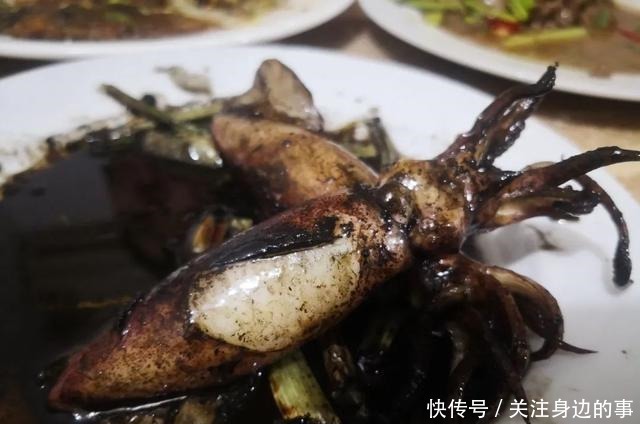 东山海鲜界的第一网红小管,究竟有多好吃!