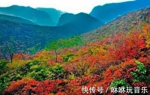 青天河景区|青天河｜金秋时节，来这座“红叶王国”感受那“枫”情万种的美！