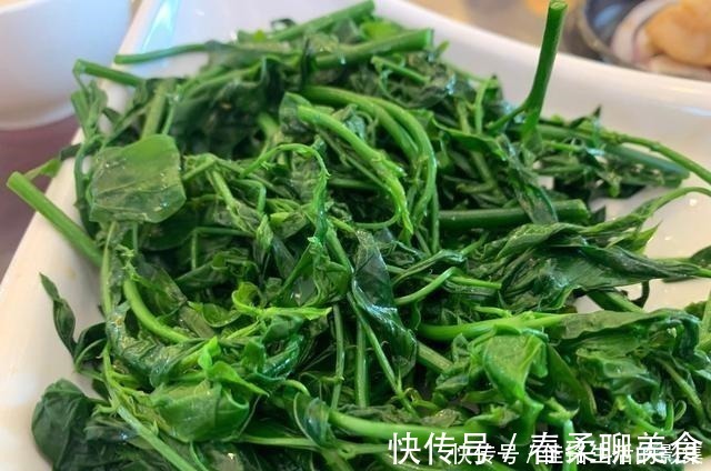 早茶|每次回老家最想吃的不是土鸡,而是这几道菜,城里有钱也难买