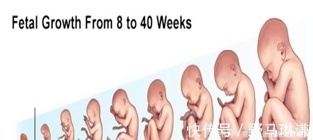 孕晚期|怀孕这3个阶段,婆婆妈妈最操心,想护胎儿周全,孕妈自己多上心