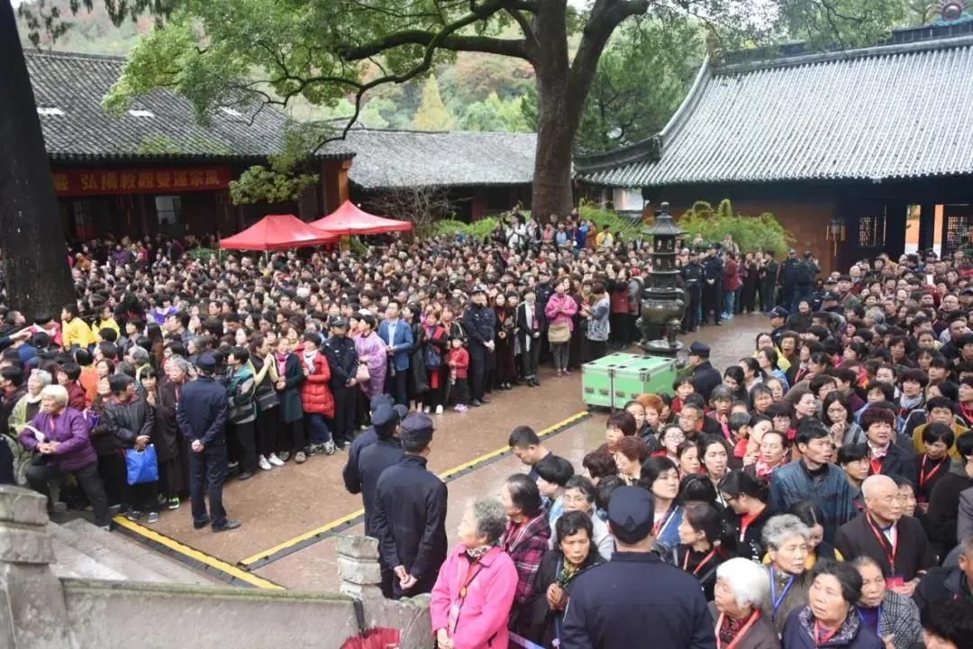 天台|天台“三能”故事汇丨陈军：最动人的风景就在身边