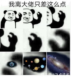 全勤#这些网文“黑话”你都懂吗?来检验一下你是老书虫还是网文萌新!