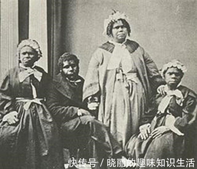 塔斯&丈夫被制成标本展览,她留下遗愿请善待我,不要展览我!