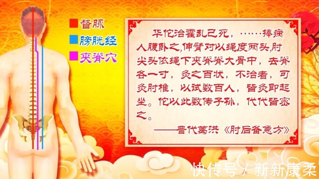 华佗|身上有条“长寿脊”，简单三招打通它！心肺不适、腰疼、颈椎痛全部见了~